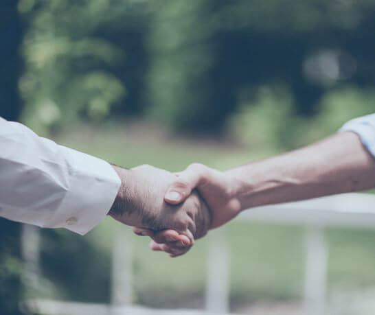 Two professionals shaking hands